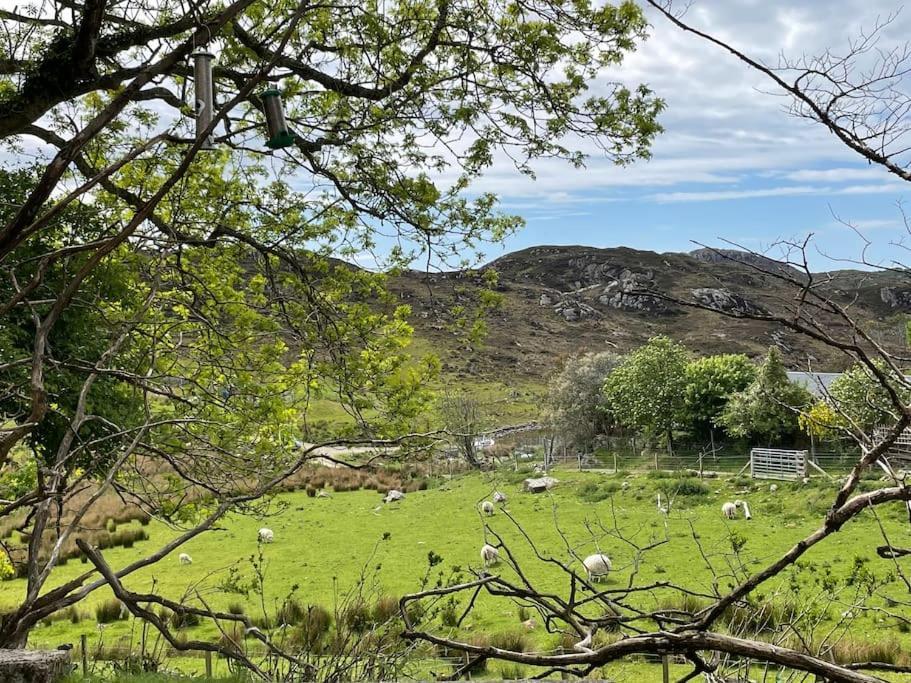 Beautiful Cottage In A Wonderful Highland Setting Drumbeg Εξωτερικό φωτογραφία